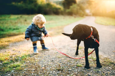 Ein kleiner Junge und ein Hund stehen im Freien auf einer Straße bei Sonnenuntergang. - HPIF28355