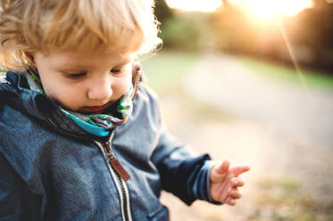 A happy little toddler boy standing outdoors in nature at sunset. Close-up. Copy space. - HPIF28356