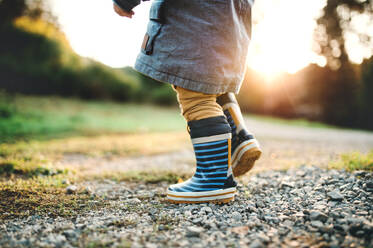 Legs of unrecognizable little toddler boy walking outdoors in nature at sunset. Rear view. - HPIF28358