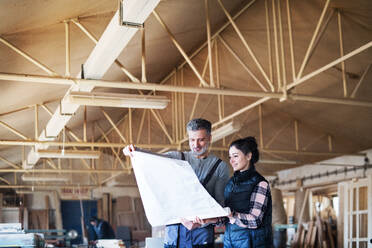 Portrait of a man and woman workers in the carpentry workshop, looking at paper plans. - HPIF28495