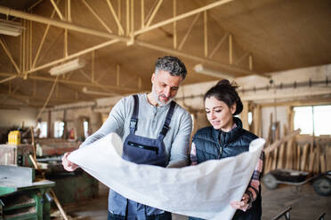 Portrait of a man and woman workers in the carpentry workshop, looking at paper plans. - HPIF28496