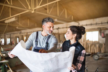 Portrait of a man and woman workers in the carpentry workshop, looking at paper plans. - HPIF28497