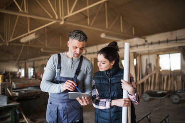 Portrait of a man and woman workers in the carpentry workshop, looking at tablet. - HPIF28498