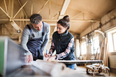 Portrait of a man and woman workers in the carpentry workshop, working. - HPIF28501