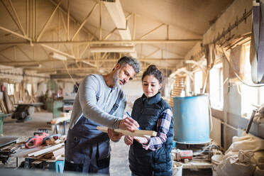 Portrait of a man and woman workers in the carpentry workshop, working together. - HPIF28509