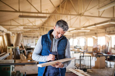 Ein erwachsener Mann arbeitet in einer Schreinerei mit Holz. - HPIF28511