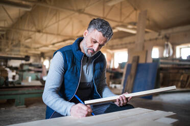 Ein erwachsener Mann arbeitet in einer Schreinerei mit Holz. - HPIF28512