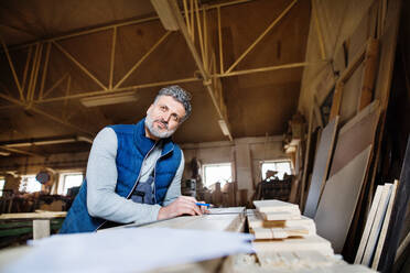 Ein erwachsener Mann arbeitet in einer Schreinerei mit Holz. - HPIF28531