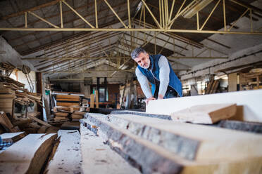 Ein erwachsener Mann arbeitet in einer Schreinerei mit Holz. - HPIF28535