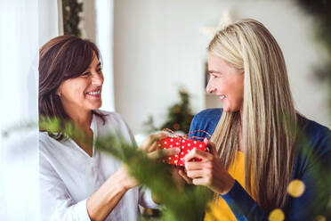 Eine glückliche ältere Frau, die einer erwachsenen Tochter zu Hause ein Weihnachtsgeschenk überreicht. - HPIF28577