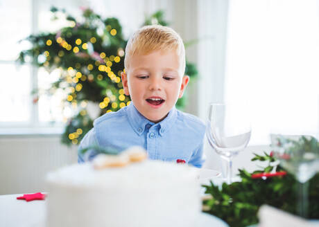 Ein kleiner Junge steht zur Weihnachtszeit zu Hause am Tisch und starrt auf einen Kuchen. - HPIF28580