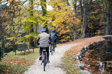 Rückansicht eines aktiven Seniorenpaares mit Elektrofahrrädern, das im Freien auf einer Straße im Park radelt. - HPIF28796