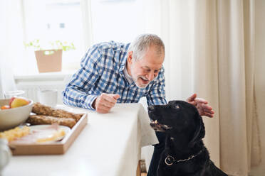 Ein glücklicher älterer Mann mit einem Hund, der zu Hause am Tisch sitzt und frühstückt. - HPIF28870