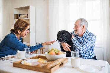 Ein glückliches älteres Ehepaar mit einem Hund, das zu Hause am Tisch sitzt und frühstückt. - HPIF28874