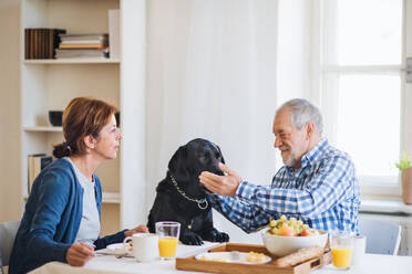 Ein glückliches älteres Ehepaar mit einem Hund, das zu Hause am Tisch sitzt und frühstückt. - HPIF28878