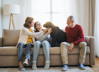 Ein älteres Ehepaar mit einem Mädchen im Teenageralter, das mit seinem Hund zu Hause auf einem Sofa sitzt. - HPIF28904