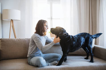 Teenager-Mädchen sitzt auf einem Sofa in einem Haus und spielt mit einem schwarzen Hund. - HPIF28907