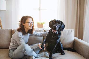 Teenager-Mädchen sitzt auf einem Sofa in einem Haus und spielt mit einem schwarzen Hund. - HPIF28909