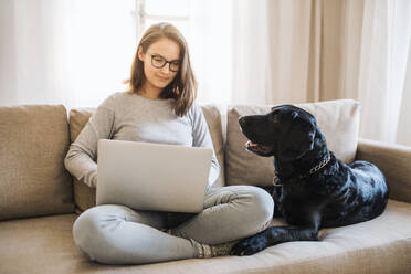 Ein Mädchen im Teenageralter mit einem Hund sitzt auf einem Sofa in einem Haus und arbeitet an einem Laptop. - HPIF28911