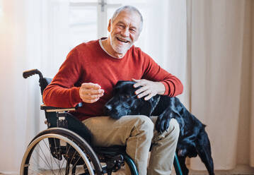 Ein behinderter älterer Mann im Rollstuhl, der zu Hause mit seinem Hund spielt. Platz kopieren. - HPIF28915