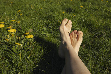 Frau mit gekreuzten Beinen im Gras an einem sonnigen Tag - VIVF00938