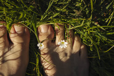 Füße einer Frau inmitten von Blumen auf Gras an einem sonnigen Tag - VIVF00939