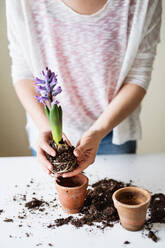 Unrecognizable young woman planting flower seedlings at home. - HPIF28926