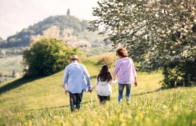 Fröhliches älteres Ehepaar mit Enkelin draußen in der frühlingshaften Natur beim Spazierengehen, Rückansicht. - HPIF28939