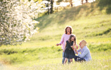 Älteres Paar mit Enkelin draußen in der Natur im Frühling, lachend. - HPIF28941