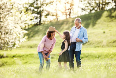 Happy senior couple with granddaughter outside in spring nature, having fun. - HPIF28945