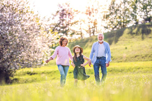 Älteres Paar mit Enkelin draußen in der Natur im Frühling, lachend. - HPIF28946