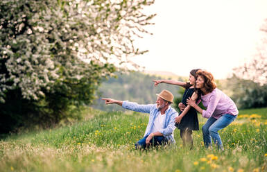 Senior couple with granddaughter outside in spring nature, relaxing on the grass and pointing finger at something. - HPIF28948