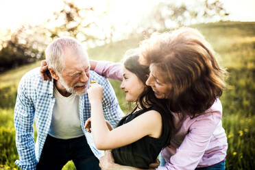 Senior couple with granddaughter outside in spring nature, having fun. An old man sneezing after being tickled with a flower. - HPIF28960