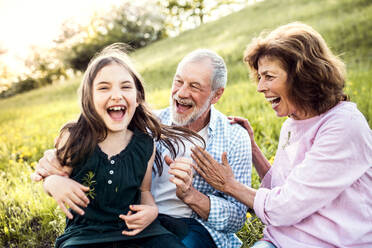 Ein älteres Ehepaar mit seiner Enkelin, das sich in der Natur amüsiert. - HPIF28966