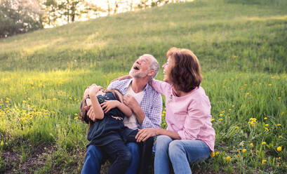 Älteres Ehepaar mit Enkelin draußen in der frühlingshaften Natur, die sich im Gras entspannen und Spaß haben. - HPIF28967