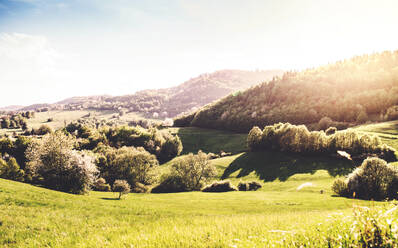 Panoramablick auf eine Wiesen- und Waldlandschaft, Sonnenuntergang in der Frühlingsnatur. - HPIF28970