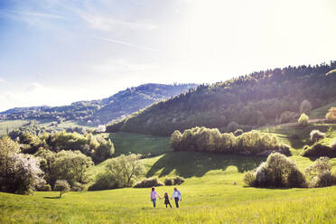 Fröhliches älteres Ehepaar mit Enkelin im Frühling in der Natur spazieren gehend, Raum kopieren. - HPIF28972