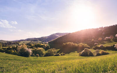 Panoramablick auf eine Wiesen- und Waldlandschaft, Sonnenuntergang in der Frühlingsnatur. - HPIF28973