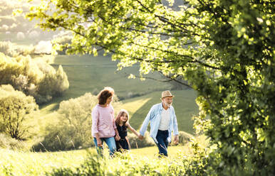 Älteres Ehepaar mit Enkelin, die im Frühling in der Natur spazieren gehen; Raum kopieren. - HPIF28976