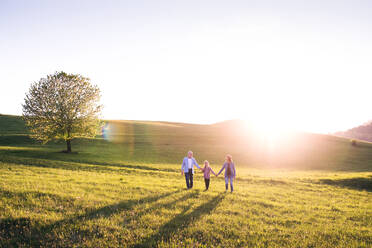 Senior couple with granddaughter outside in spring nature, laughing. Copy space. - HPIF29003