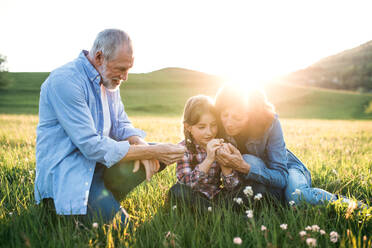 A senior couple with granddaughter outside in spring nature at sunset. - HPIF29016