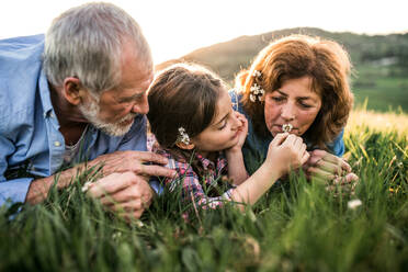 Close-up of a senior couple with granddaughter outside in spring nature, lying on the grass and relaxing. - HPIF29023