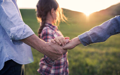 A happy small girl with her unrecognizable senior grandparents walking outside, holding hands. Sunset in spring nature. - HPIF29031