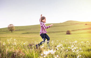 Ein glückliches kleines Mädchen, das draußen in der Natur Spaß hat und springt. - HPIF29039