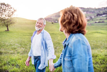 Happy senior couple walking outside in spring nature, holding hands. - HPIF29043