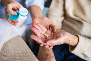 An unrecognizable young health visitor explaining a senior woman how to take medicine and pills. Midsection. - HPIF29093