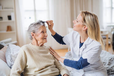 A young health visitor combing hair of senior woman sitting on a bed at home. - HPIF29110