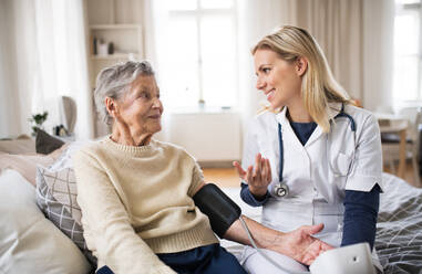 Eine junge Gesundheitsberaterin misst den Blutdruck einer älteren Frau zu Hause. - HPIF29114