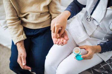 An unrecognizable young health visitor explaining a senior woman how to take medicine and pills. Midsection. - HPIF29116