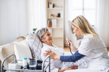 Eine junge Gesundheitsberaterin untersucht eine kranke ältere Frau, die zu Hause im Bett liegt, mit einem Stethoskop. - HPIF29132